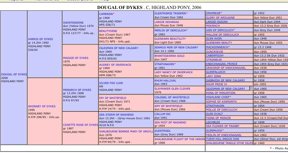 Dougal of Dykes pedigree chart.