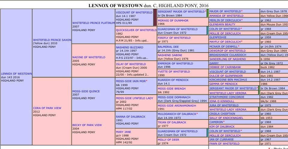 Lennox of Westown pedigree chart.